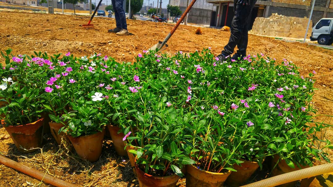 آماده سازی میدان بهارستان برای کاشت گل های فصلی