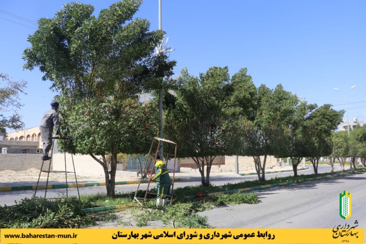عملیات هرس درختان بلوار اندیشه شهر بهارستان در حال اجرا است