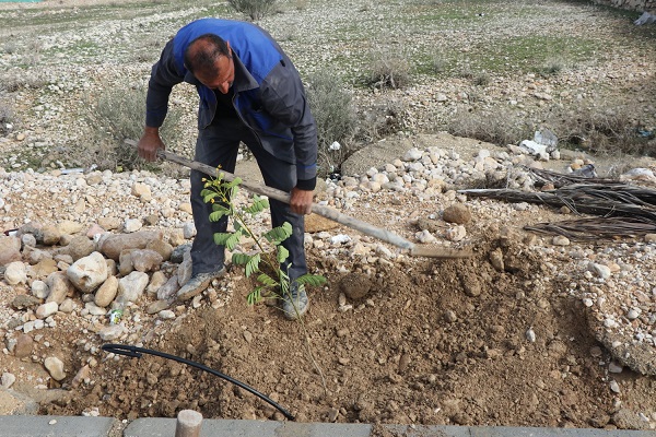 عملیات کاشت درخت و نهال در بلوارها و خیابان های شهر بهارستان در حال انجام است