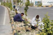 عملیات کاشت گل‌های فصلی در بلوارهای شهر بهارستان در حال اجرا است+تصاویر