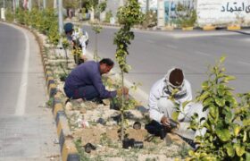 عملیات کاشت گل‌های فصلی در بلوارهای شهر بهارستان در حال اجرا است+تصاویر