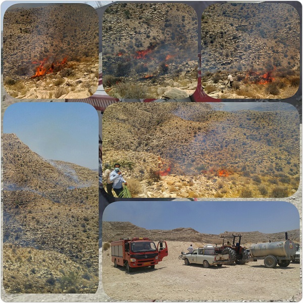 آتش سوزی گسترده در ارتفاعات بهارستان/ تلاش برای مهار آتش سوزی ادامه دارد