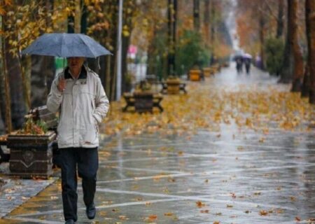 بارش پراکنده باران در استان بوشهر پیش بینی می شود