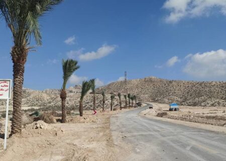 عملیات کاشت نخل ها در مسیر امامزاده شاه محمد شهر بهارستان در حال انجام است