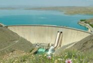 حجم ذخیره آب سد رئیس‌علی دلواری به ۵۳ درصد رسید